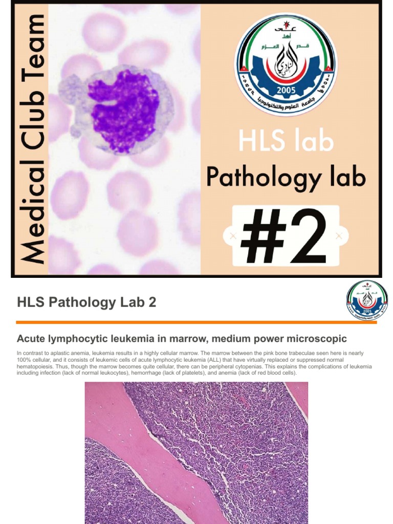 Patho 2 | PDF | Lymph Node | Lymphatic System
