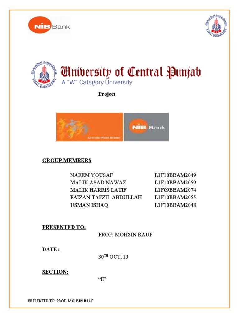 NIB Bank Business Policy and Strategy PDF Financial Transaction Banks