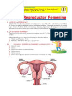 Sistema Reproductor Femenino para Cuarto de Primaria