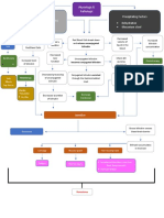 Physiologic & Pathologic Predisposing Factors Mother's Blood Type (O+) Newborn Prematurity Precipitating Factors Dehydration Meconium Stool