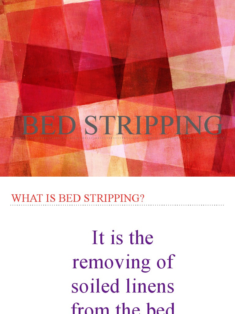 A Brief Guide to Removing Soiled Linens from the Bed The Basics of Bed