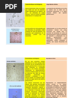 209280343-sedimento-urinario