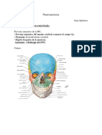 Neuroanestesia Resumen