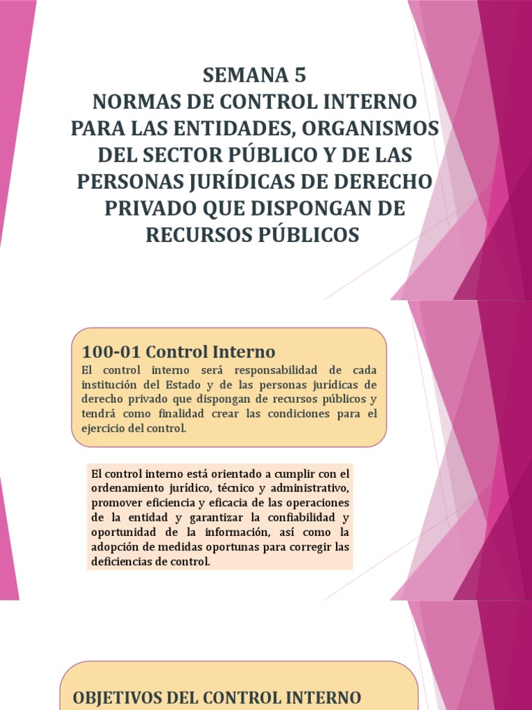 Normas de Control Interno | PDF