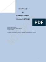 18. Atlas-Tratado de Embriogénesis. Organogénesis Autor Elvira Ferres Torres, Manuel Montesisnos Castro y Girona v. Smitgh Agreda