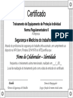 NR 6 - Certificado (Modelo)