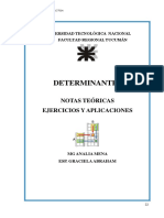 TEORIA 2 - DETERMINANTES