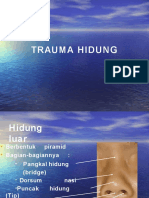 Trauma Hidung