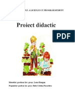 Proiect Didactic Inspectie