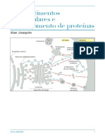 Compartimentos Intracelulares e Endereçamento de Proteínas