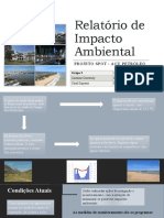 Relatório de Impacto Ambiental