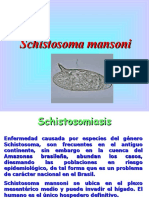 Ñ. - Schistosoma