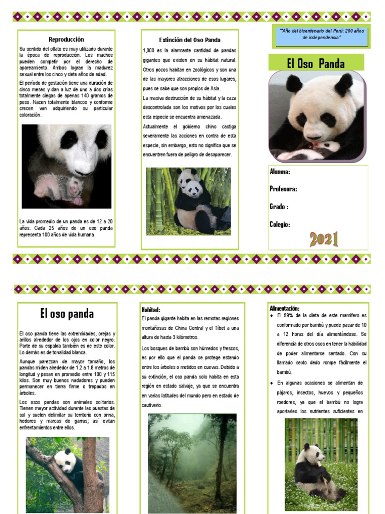 Won España Astronave El Oso Panda | PDF | Panda gigante | Conservación