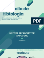 Folder de Histología
