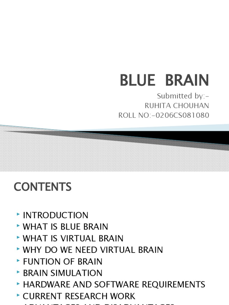 Understanding the Blue Brain Project | PDF | Games & Activities ...