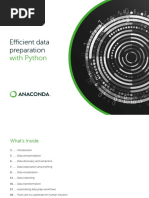 Efficient Data Preparation: With Python