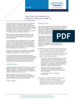 International Adulteration Fact Sheet_Spanish