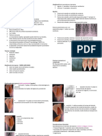 Pulpa y Trauma