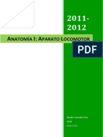 Apuntes Anatomía I-Natalia