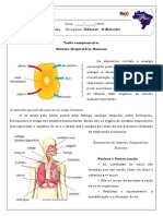 2021 06 02T13 41 13 761123 8 - Ano - SISTEMA - RESPIRATORIO