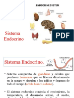 sistema endocrino