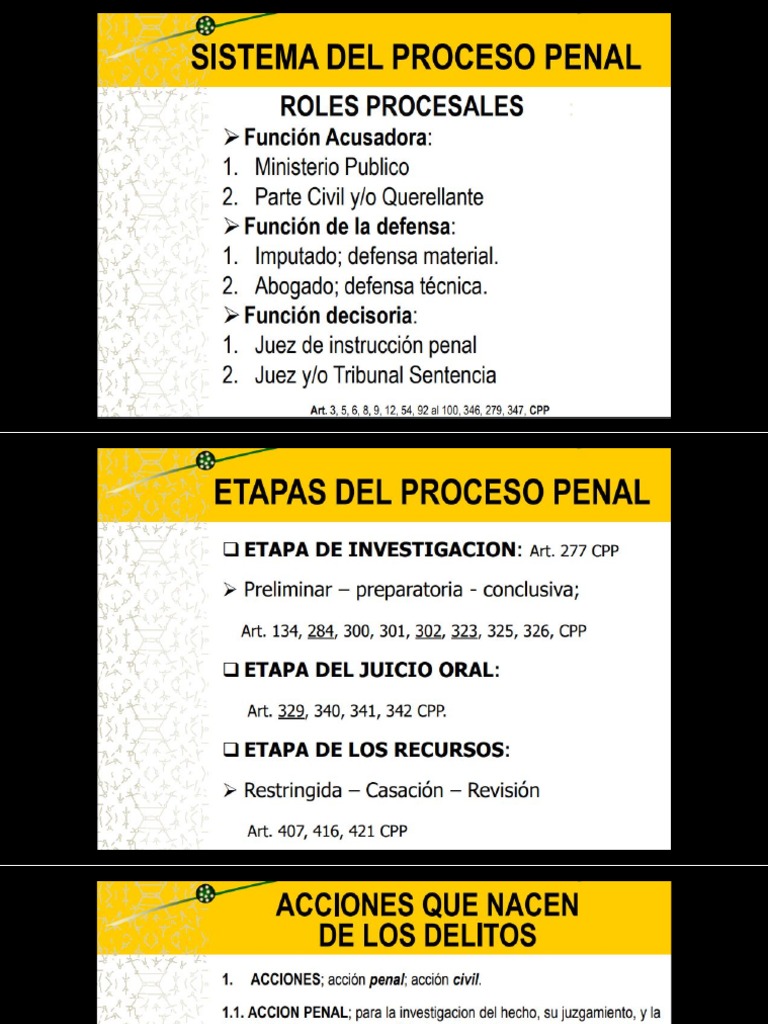 Etapas Proceso Penal Boliviano | PDF