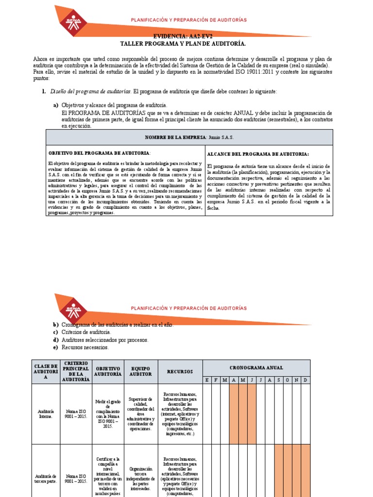 Programa y Plan de Auditoría Jumio S.A.S. | PDF | Auditoría | Contralor