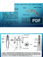 Nematologia