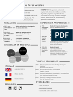 Plantilla Curriculum Vitae Medicos y Enfermeras Clinicas 351 PDF