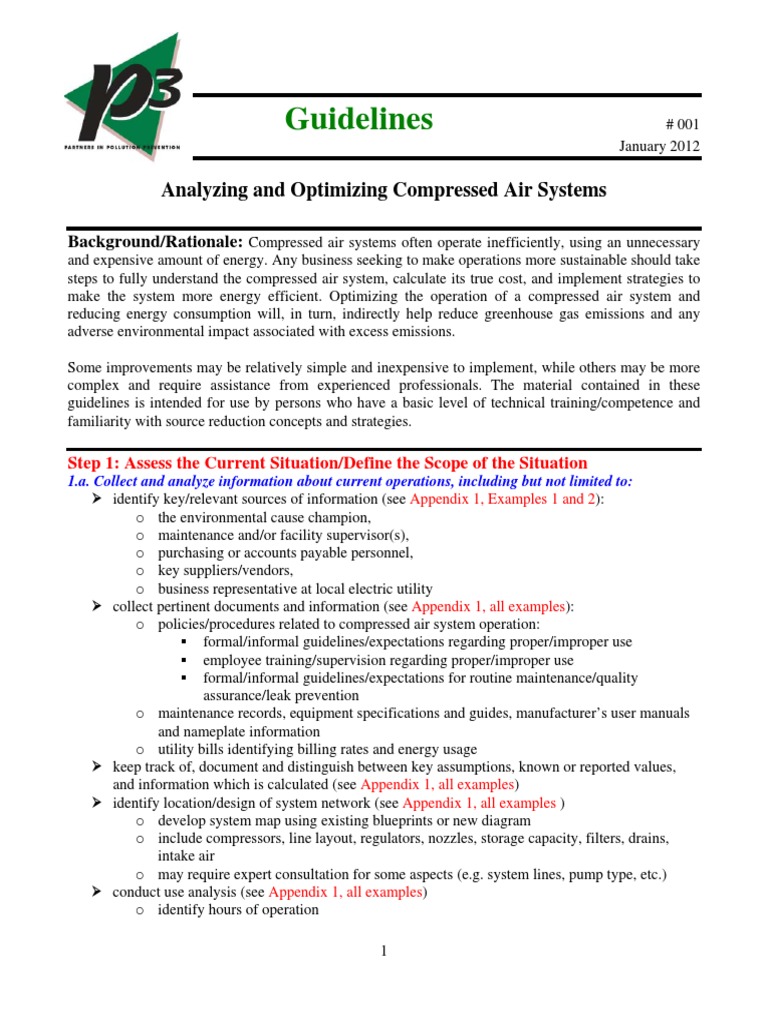 Compressed Air System Guideline Final | PDF | Leak | Efficient Energy Use