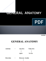 Introduction - of - Anatomy 1