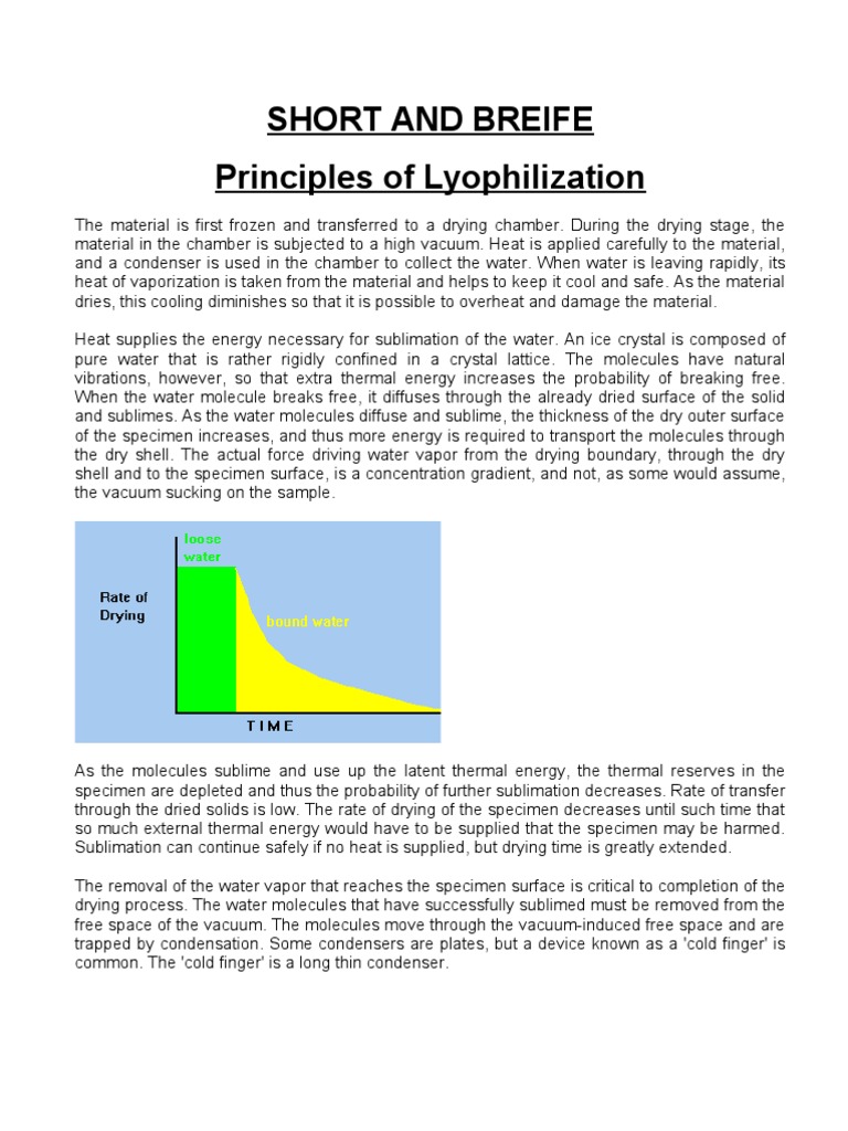Principles of Lyophilization Freeze Drying Vacuum