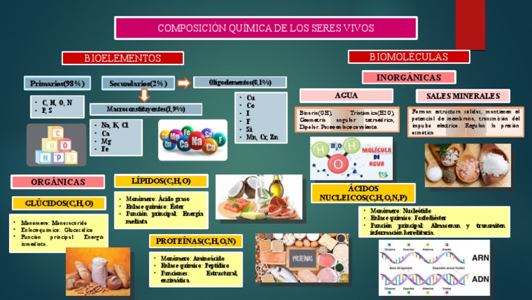 Composición Química de Los Seres Vivos | PDF | Biomoléculas | Organismos