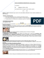 Revisión de conceptos de físico química en la elaboración de pan