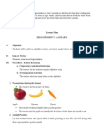 Lesson Plan Iddo Hussen