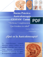 Exposicion Auriculoterapia en Cesfam