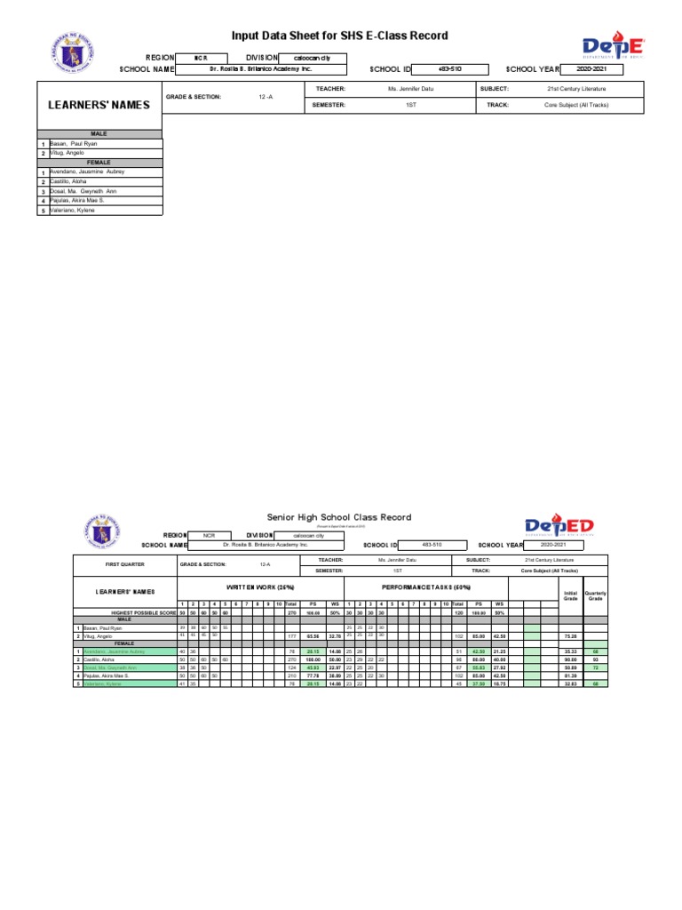 Input Data Sheet For SHS E-Class Record: Learners' Names | PDF