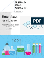 Enterobacter Cloacae