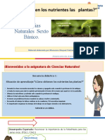 CIENCIAS 6° Básico Cómo Obtienen Los Nutrientes Las Plantas