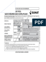 06. Tarea formato NRUS IGV