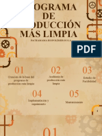 Programa de Produccion Mas Limpia