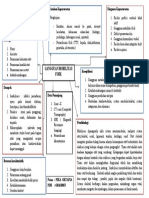 LP Mindmap Pada Lansia (Nika Oktafia)