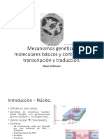 Semana 4 - Transcripción y traducción - Señalización celular