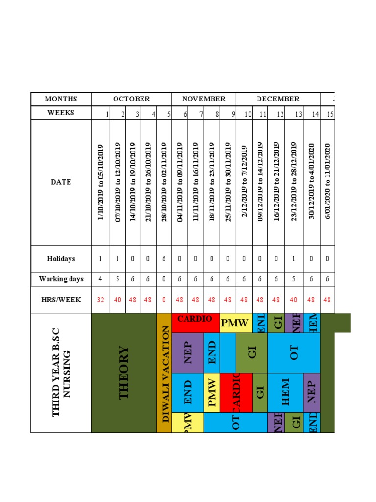 B.Sc Nursing Clinical Rotation Plan 2019-20 | PDF