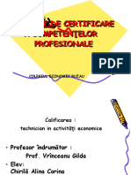 Proiect de Certificare A Competenţelor Profesionale