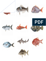 Fishes-Maori and English
