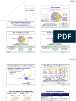 2020 Molecular Biochemistry Handout PDF