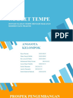 PKM Nugget Tempe