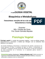 Bioquímica e Metabolismo