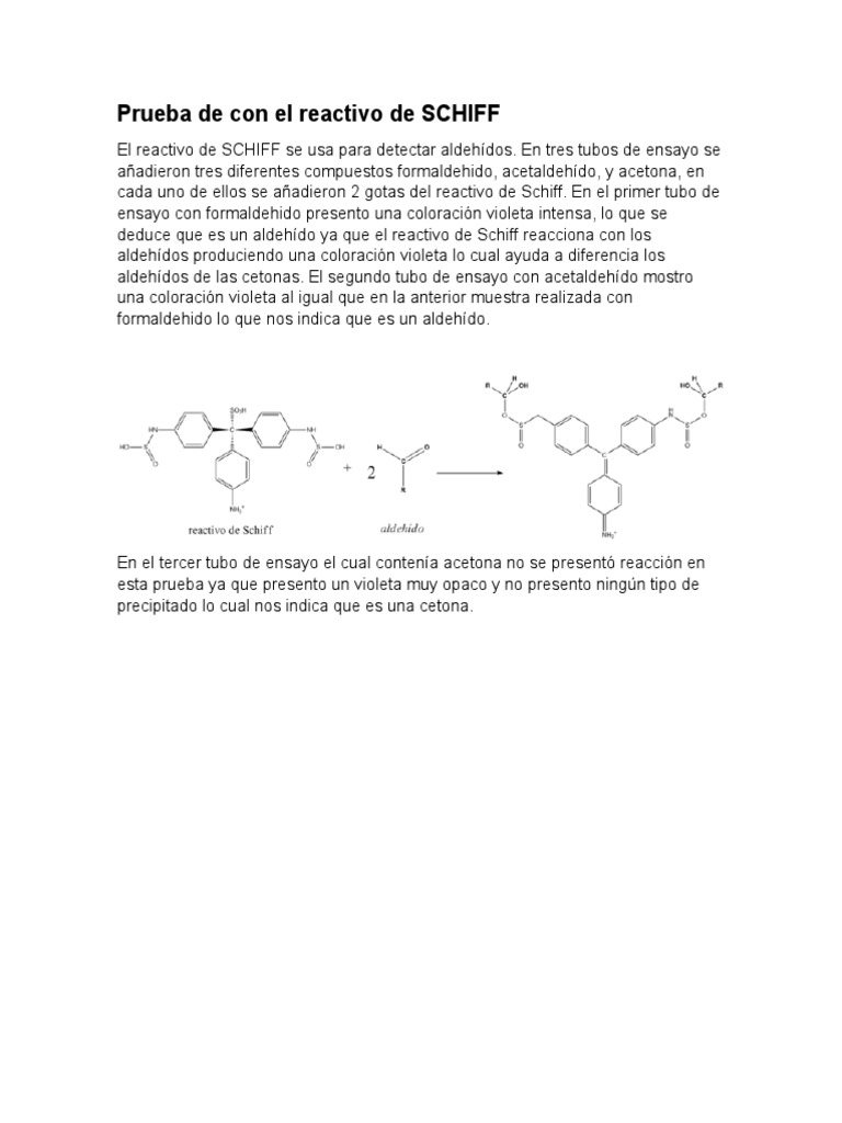 Prueba de Con El Reactivo de SCHIFF PDF — free download